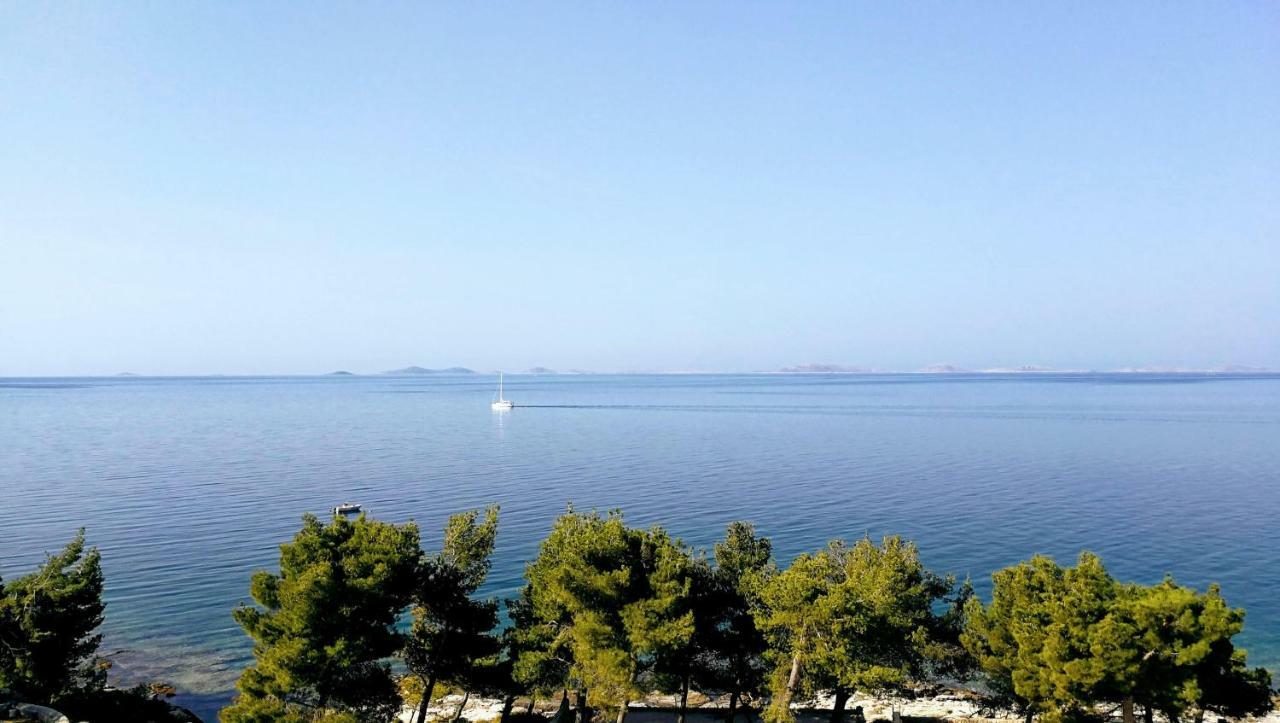 Exclusive Seaside Dream Apartments Murter Eksteriør bilde