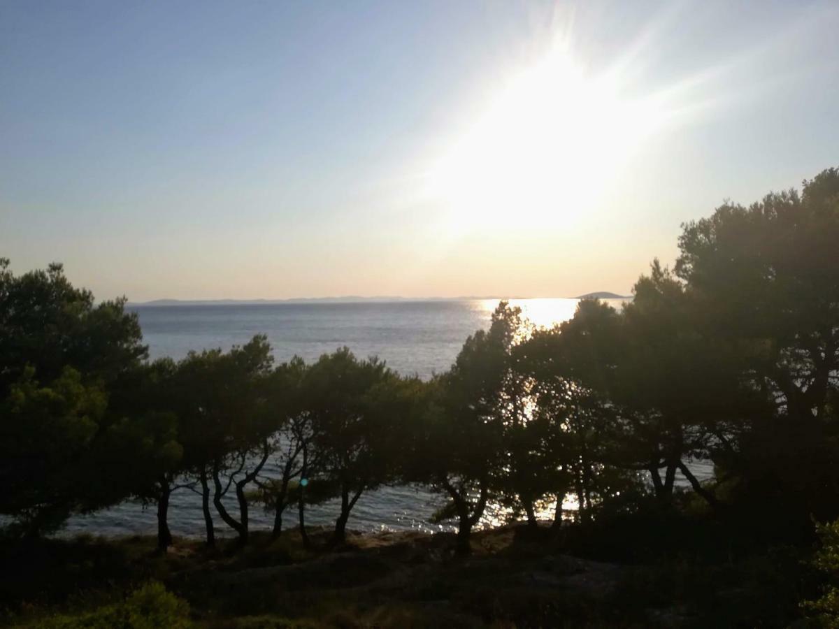 Exclusive Seaside Dream Apartments Murter Eksteriør bilde